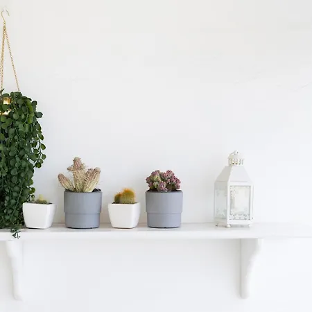 Dialezholidays - Atlantic Sunset كانديلاريا