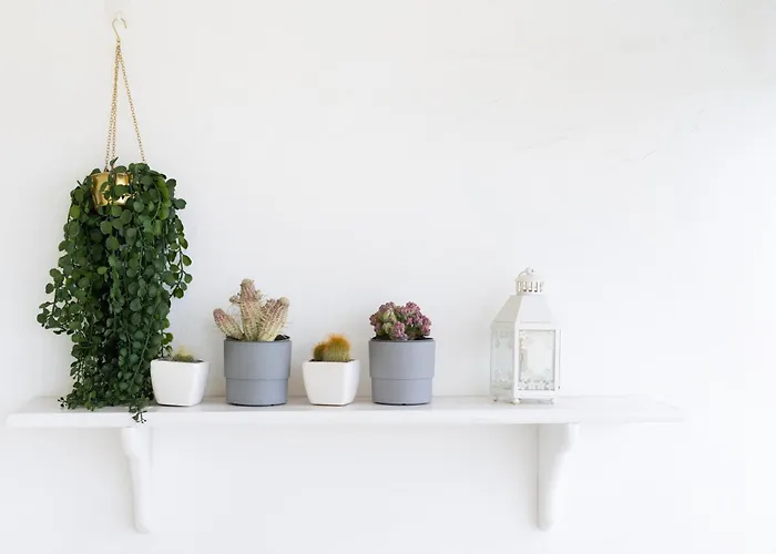 Dialezholidays - Atlantic Sunset カンデラリア